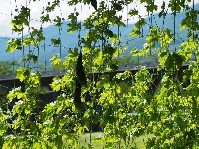 屋根のリフォーム